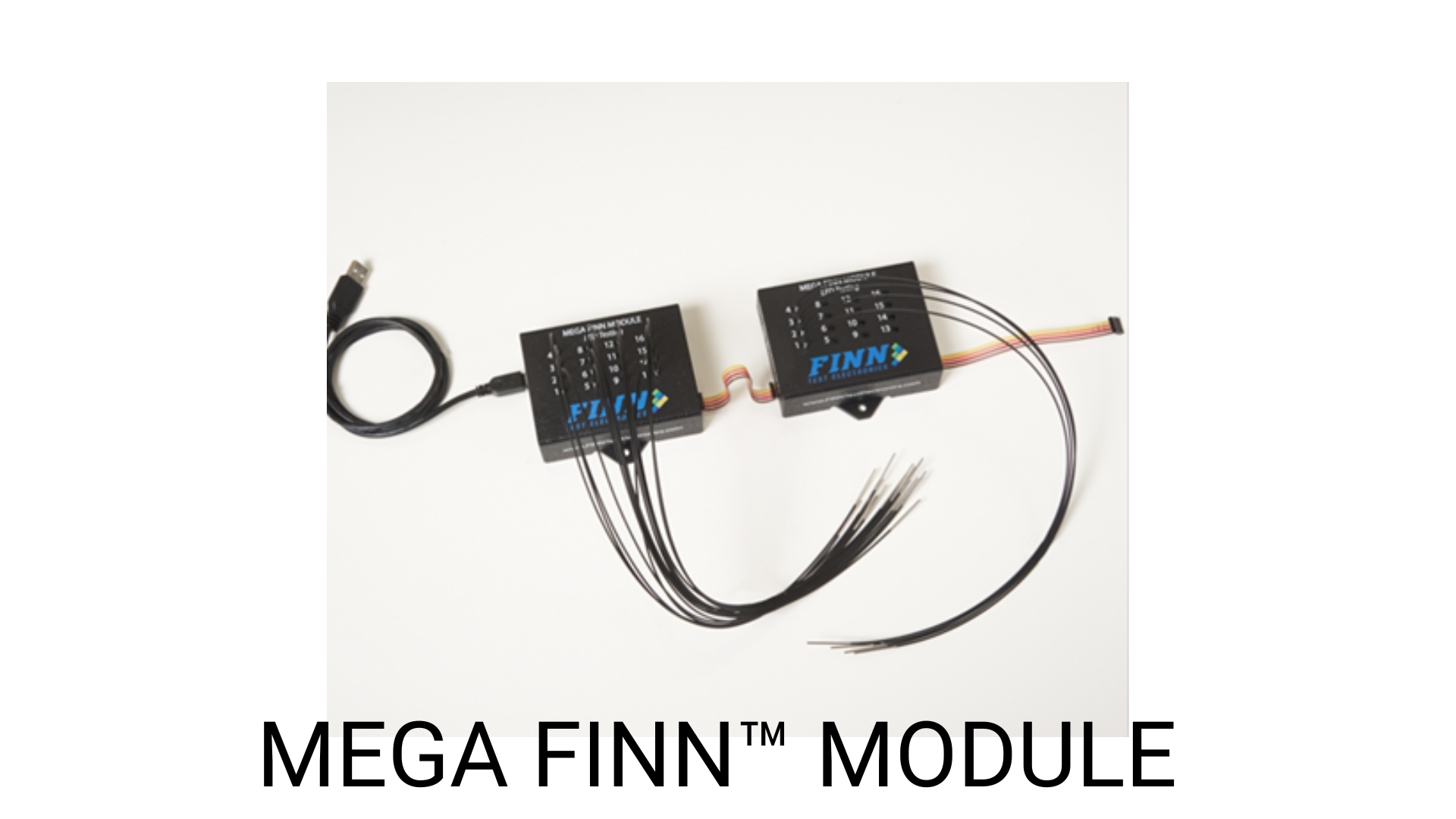 Mega Finn